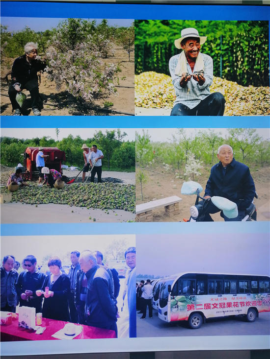 邱县第五届文冠果花节,邱县文冠花节掠影