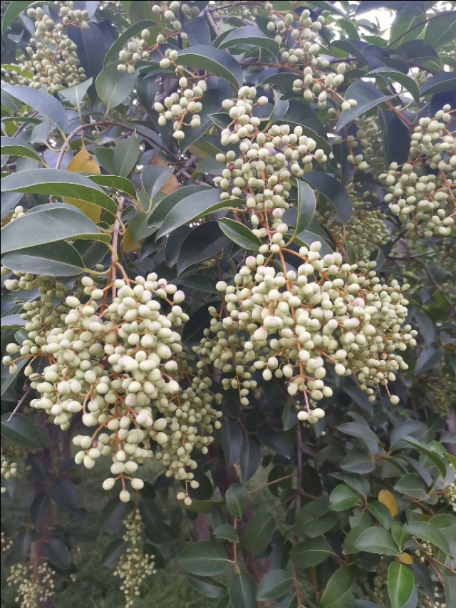 公众人物需要担负什么社会责任,公众人物需要担当更多的道德责任