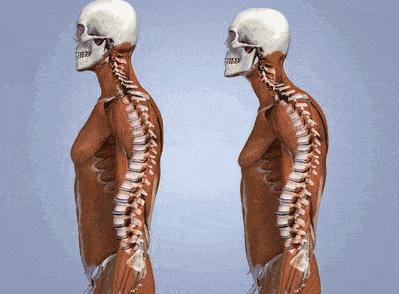 为什么有人臀很翘,男生臀为什么这么翘