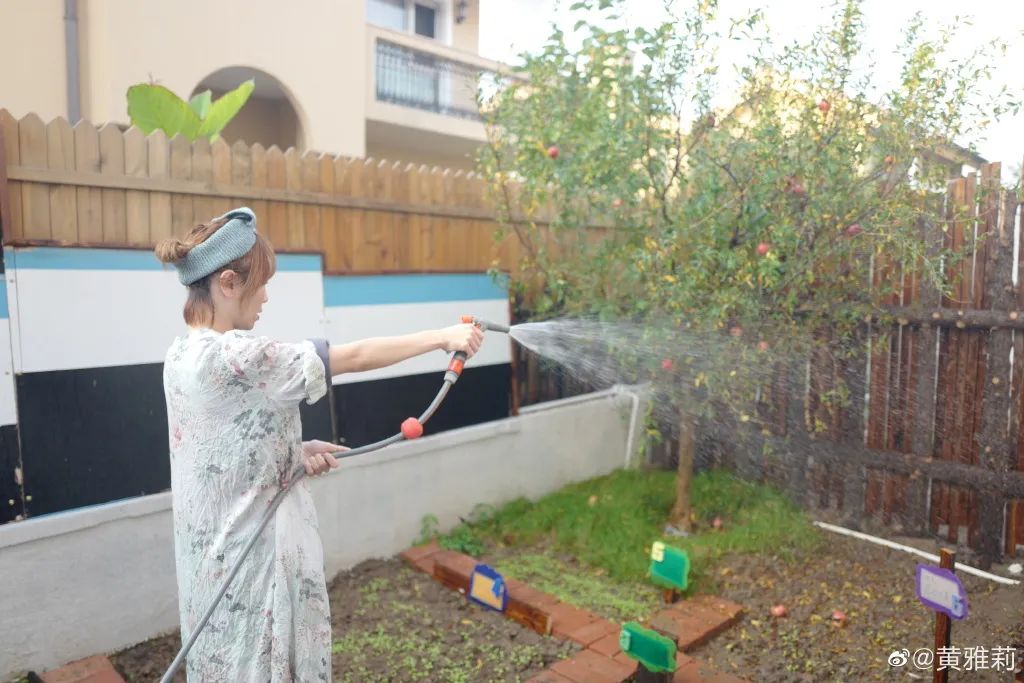 自从看了李子柒的视频,看了李子柒视频想回农村老家