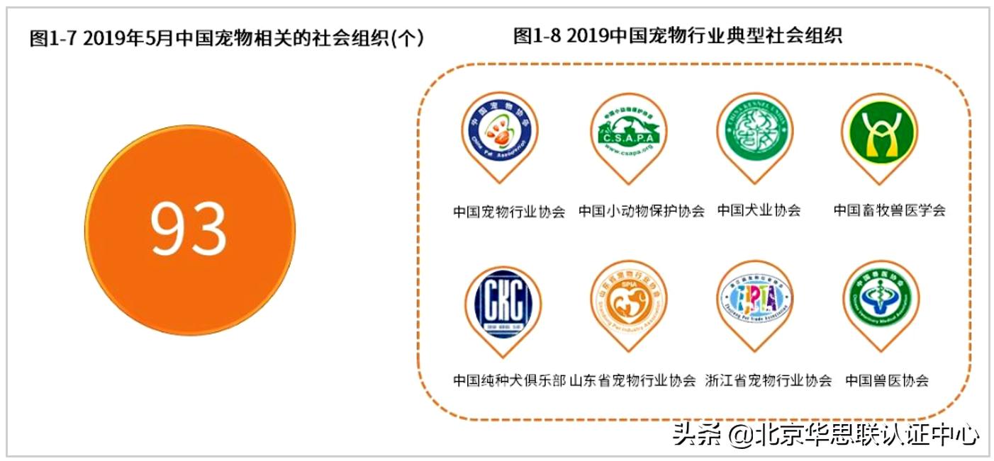 宠物电商为什么没有爆发,宠物行业电商市场