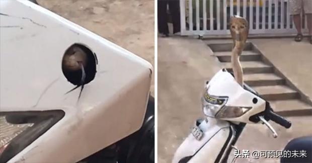 大自然的奇妙之处写话,大自然的奇妙之处作文350字