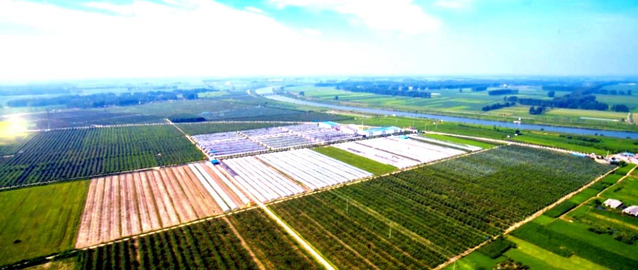 睢宁高标准农田,江苏滨海县高标准农田