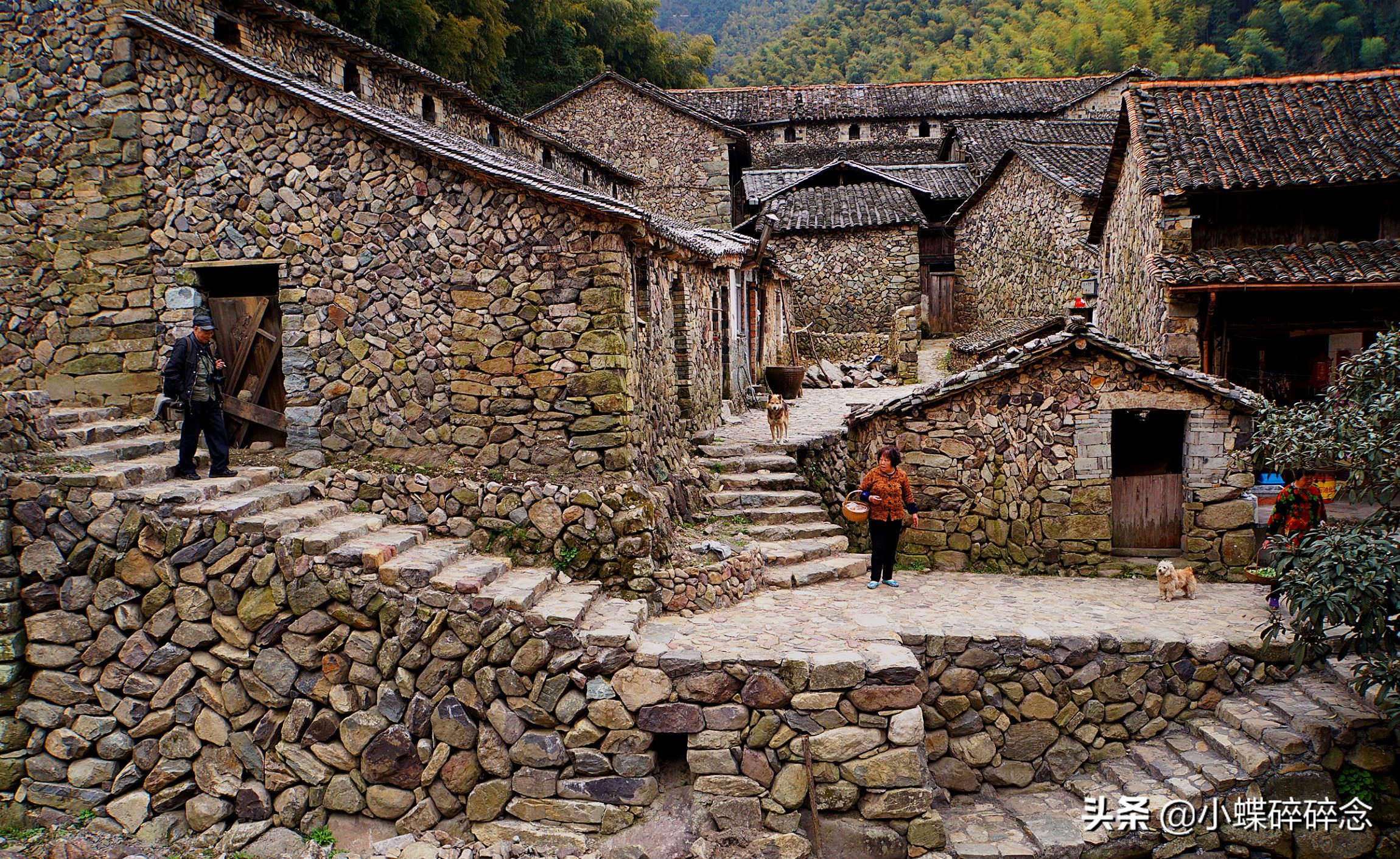 跟我去一趟缙云,告诉你怎样的江南行叫“不虚此行”