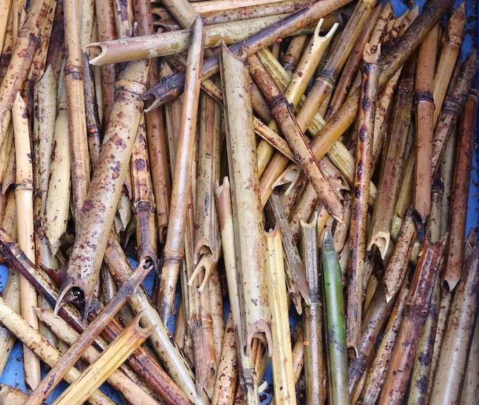 勾心勾魂啊,九尺的鸭脑壳鸭脖子鸭腿腿鸭脚脚鸭翘翘