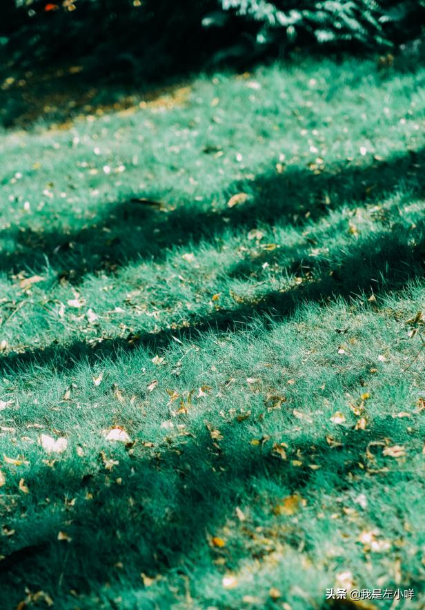 如何通俗易懂的介绍电子商务专业,电子商务专业是理科还是文科