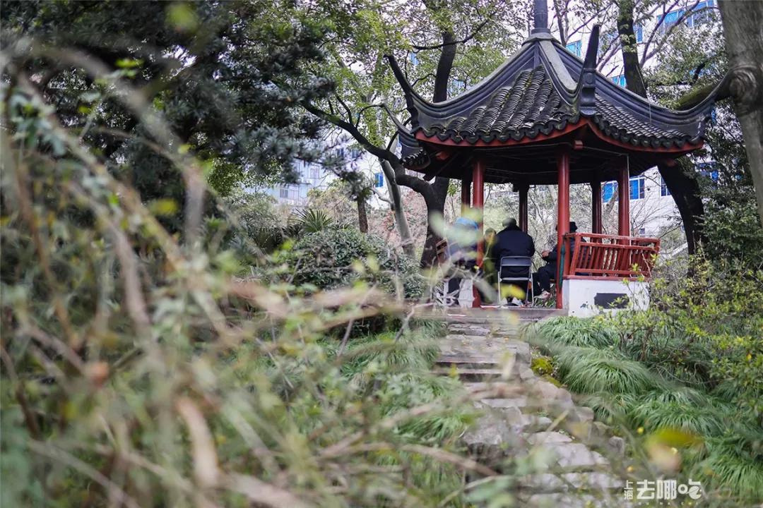 有一种记忆叫永远的回忆,有一种记忆叫失忆