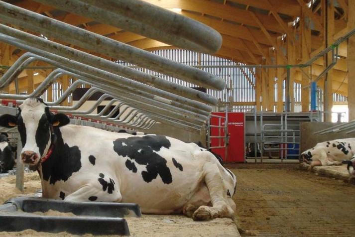 美国人越穷越胖,美国人为什么很穷还那么胖