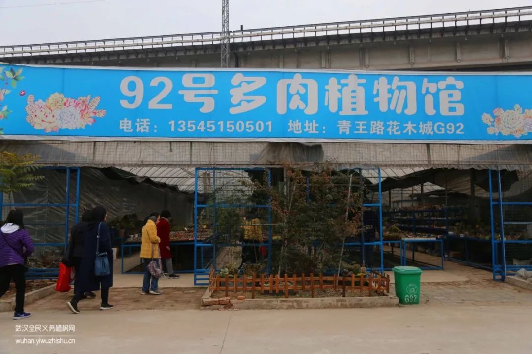 园艺沙龙|前方高能！一大波人相约逛花市，究竟淘了些啥？