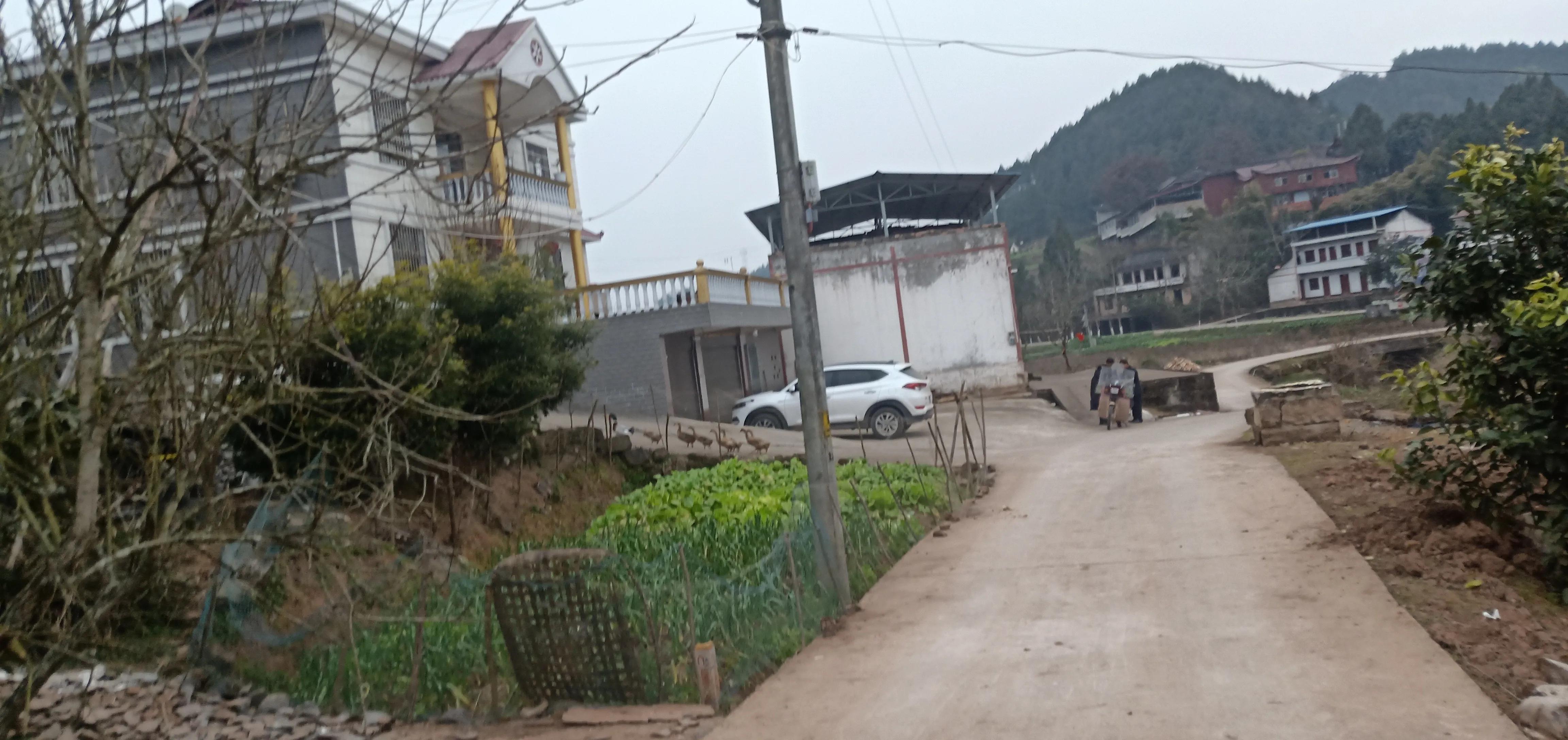 为了一只鸭子吵架,老丈人在桌上大骂女婿