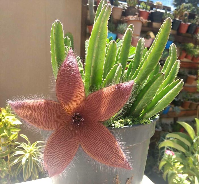 外国网友分享的风景,国外网友分享的风景