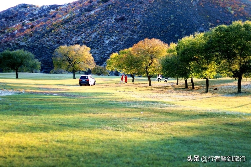 冬季克旗旅游自驾游攻略,克什克腾旗看秋色攻略