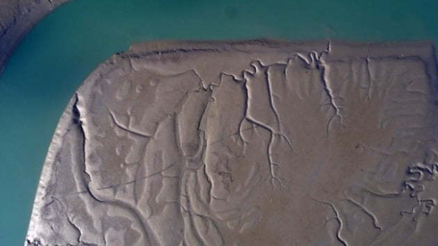 闊╁浗婊╂秱鐢抽仐鎴愬姛,闊╁浗鐢抽仐婊╂秱