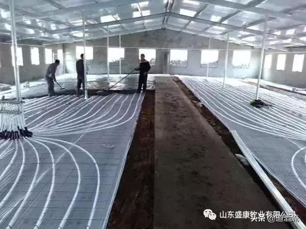 复合漏粪地板价格,养猪用漏粪地板哪种好