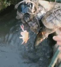 超级搞笑gif图,超好笑gif图