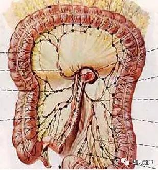 小儿消化道急症超声