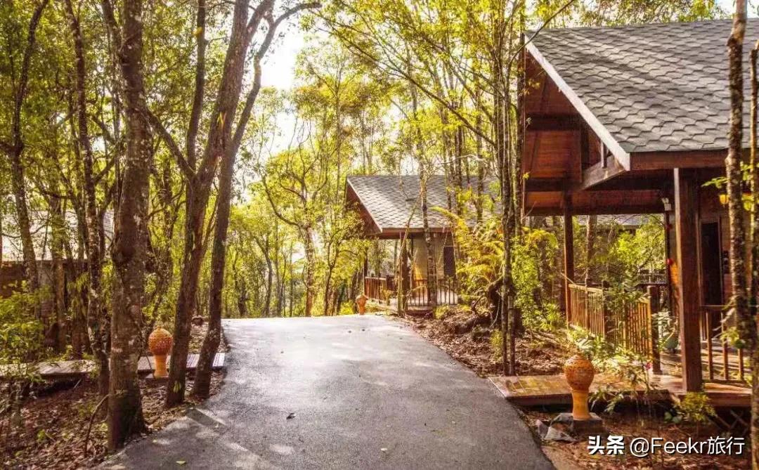 被刘昊然种草的云南小城，全网0攻略，我们花不到2k就逛吃6天