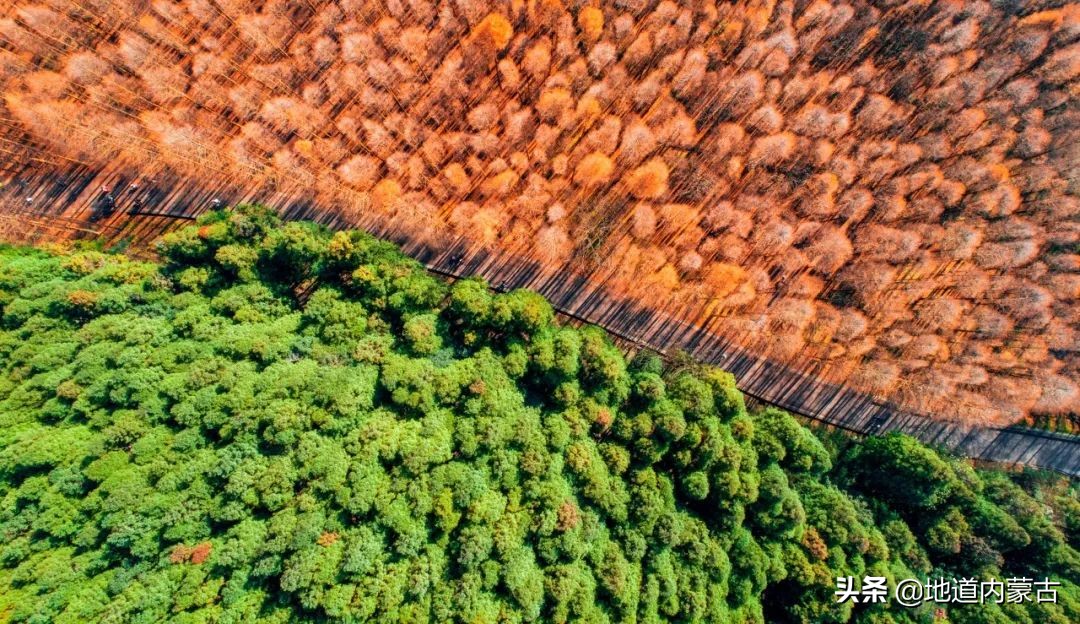 60岁之前要去的十大地方,一生中必去的中国50个最美的地方