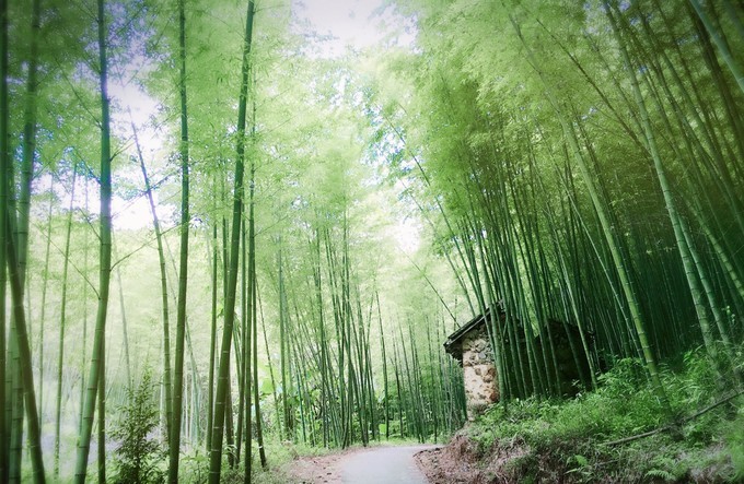 广州从化溪头村一日游出游攻略,从化溪头村自驾游攻略视频