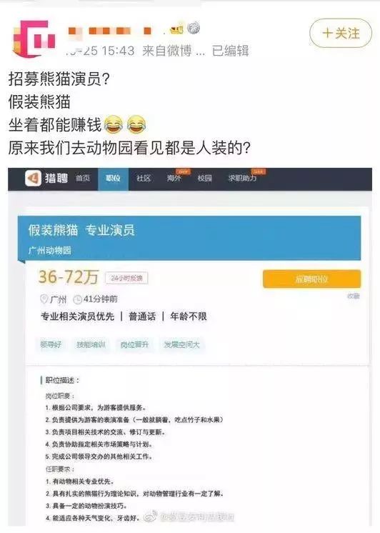 72万年薪！招聘演员假扮熊猫？网友炸了，动物园急了