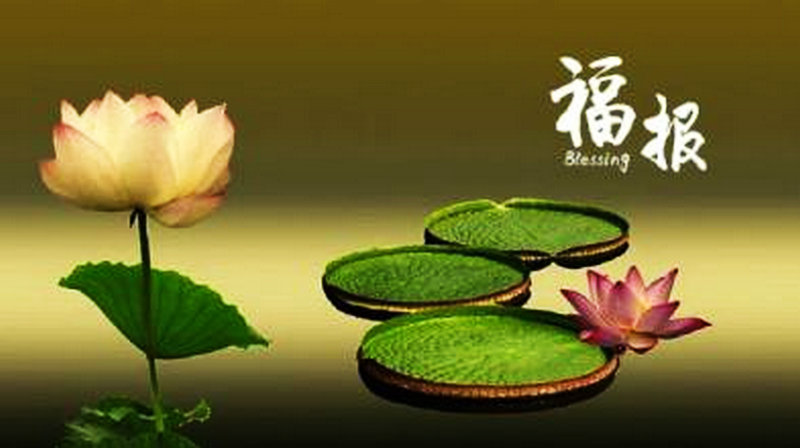 人的善心就是最好的风水,人的善心善行必得福报