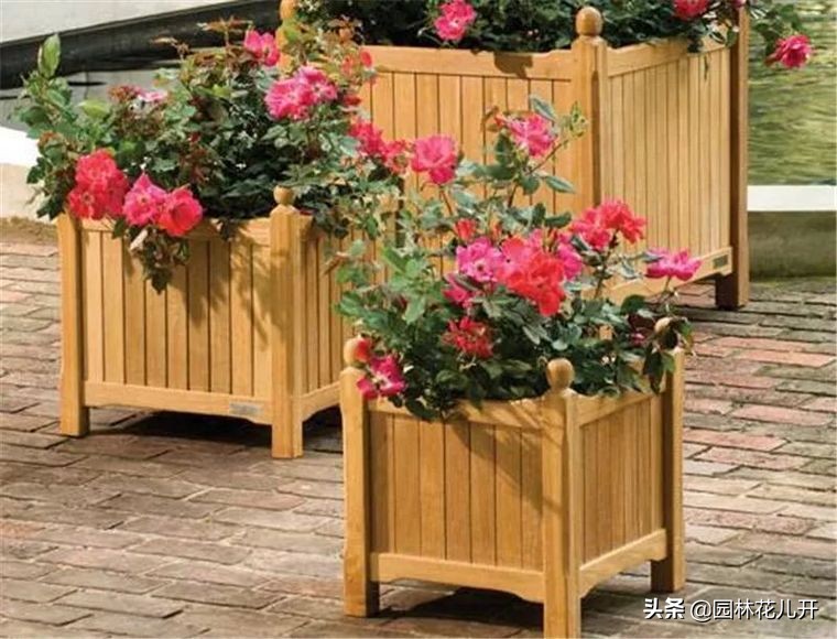 阳台花箱景观设计,景观花架花箱设计