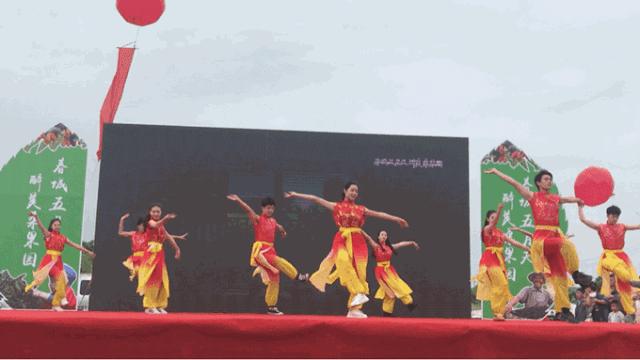 春城*月天五**,醉美桑果园2019桑果园和您有个约会