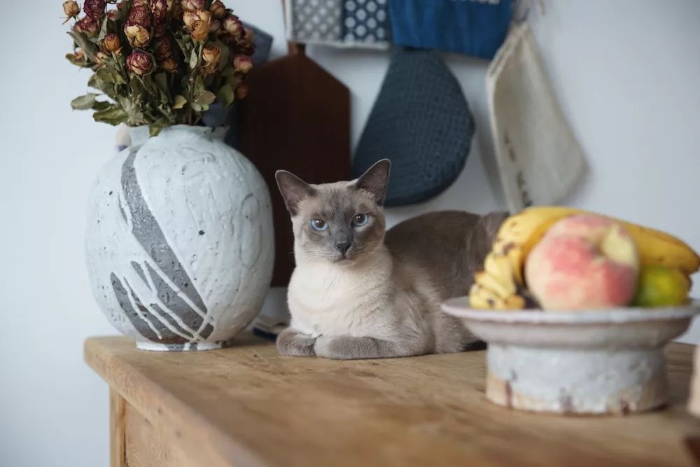 用水泥砌橱柜,用粘土做迷你橱柜