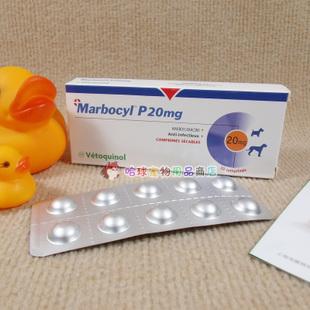 宠物可以吃的人类消炎药,人用的消炎药宠物可以用吗