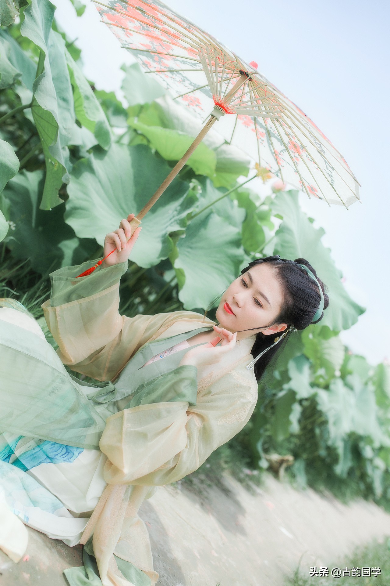 荷花诗词朗读完整版,荷花诗词12字