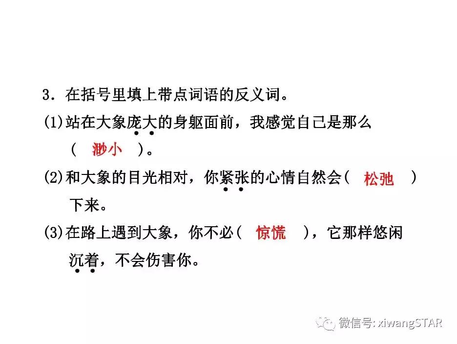 与象共舞语文五年级下册老版,五年级下册与象共舞阅读