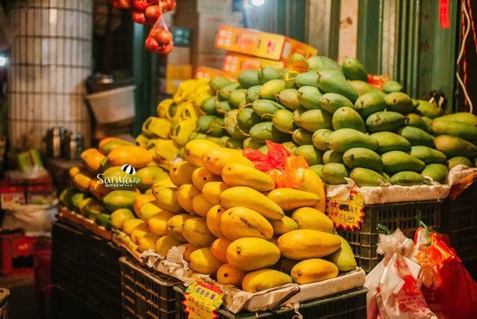 海边美食推荐旅游攻略,海边旅游美食风景攻略