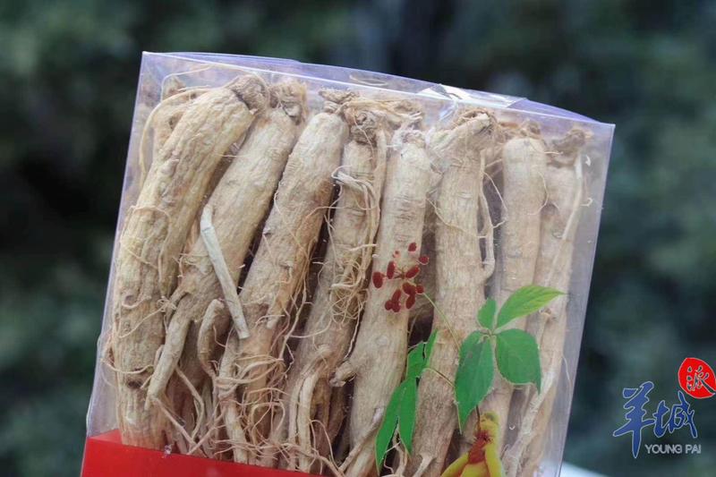 免疫力是最好的补品,温补气血增强免疫力