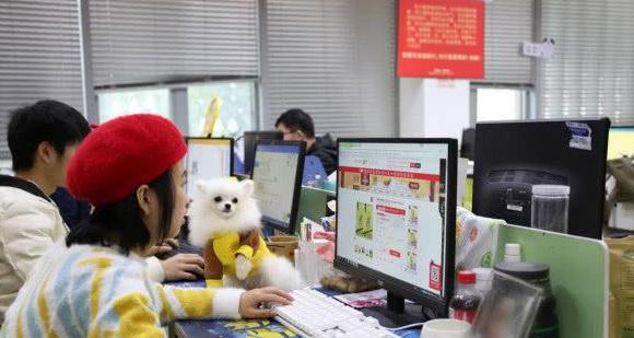 为什么几块钱的东西商家还免运费,网购什么情况下商家不承担运费