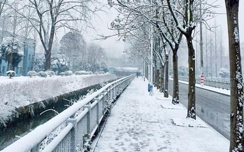 冬天的校园作文300字,描写冬天的校园短文100字