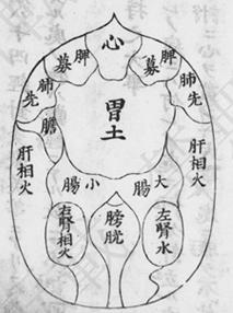 梦的类型与脏器的关系,梦和身体五脏六腑的对应关系