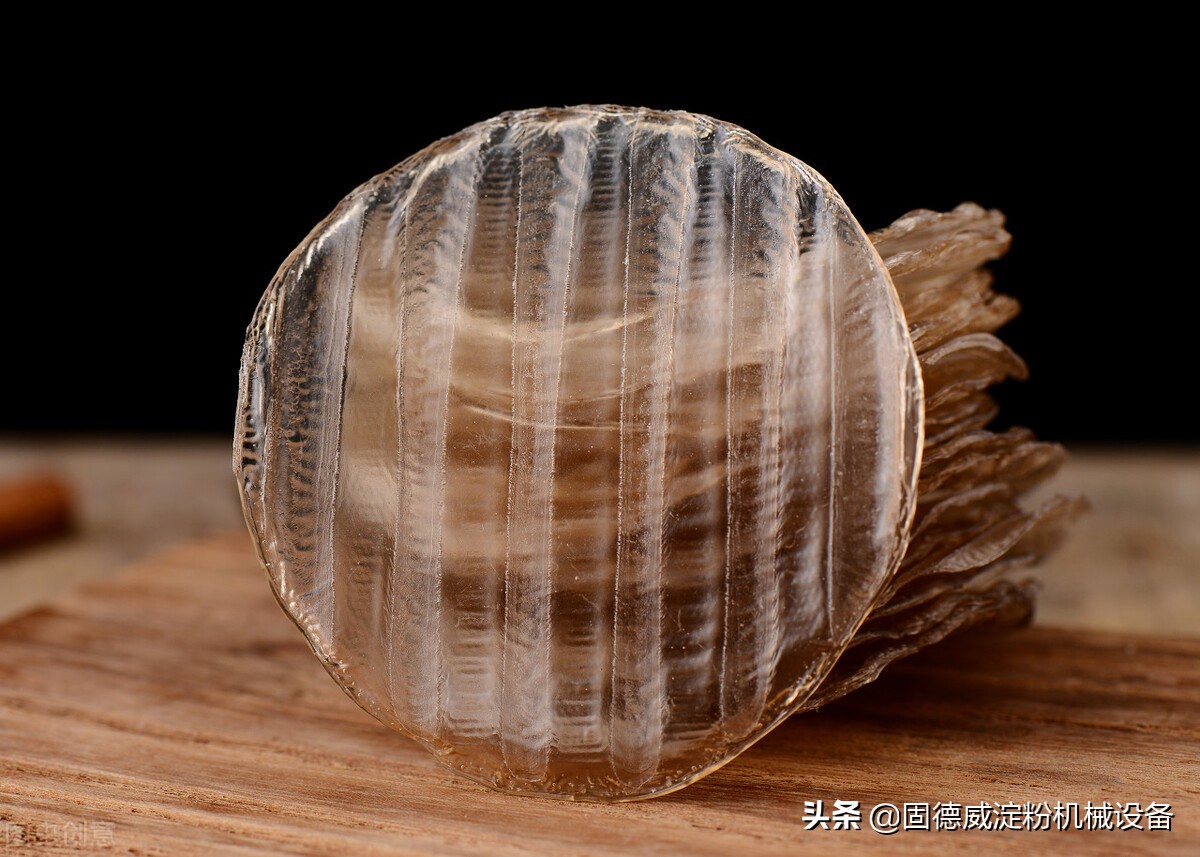 最简单的全自动红薯粉条机,专业生产红薯粉条机