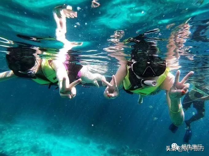 巨蜥像退休大爷休闲漫步；满海的活珊瑚、海葵…国家公园开岛啦