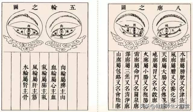 面诊、眼诊、鼻诊、耳诊、唇诊、舌诊、齿诊图...都收集齐了