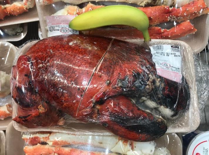 十五张罕见照片神奇而有趣的世界,世界上最有趣的30张照片