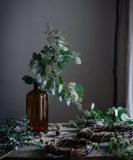 家庭药瓶花瓶插花教程,药瓶子插花