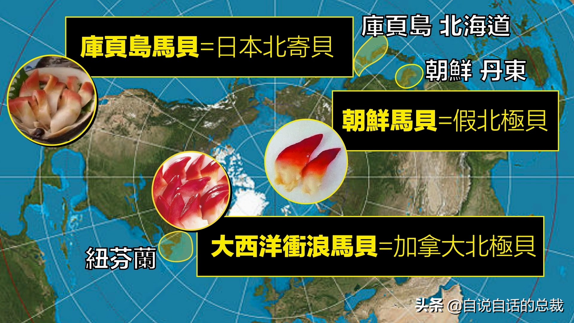 蚶蛤蛏蚬区别,蛤蜊蚶子蛏子区别