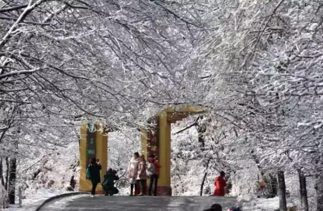冬天去哪玩儿！鞍山冰雪游项目11月末陆续开场