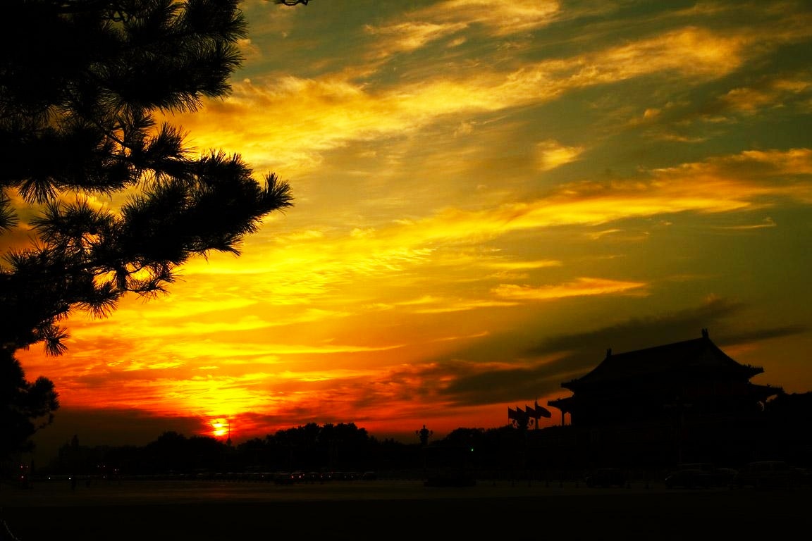 家里出现小飞蛾是什么原因,家里出现大蜘蛛预兆