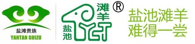 宁夏正宗的盐池滩羊,盐池滩羊都是内蒙的吗