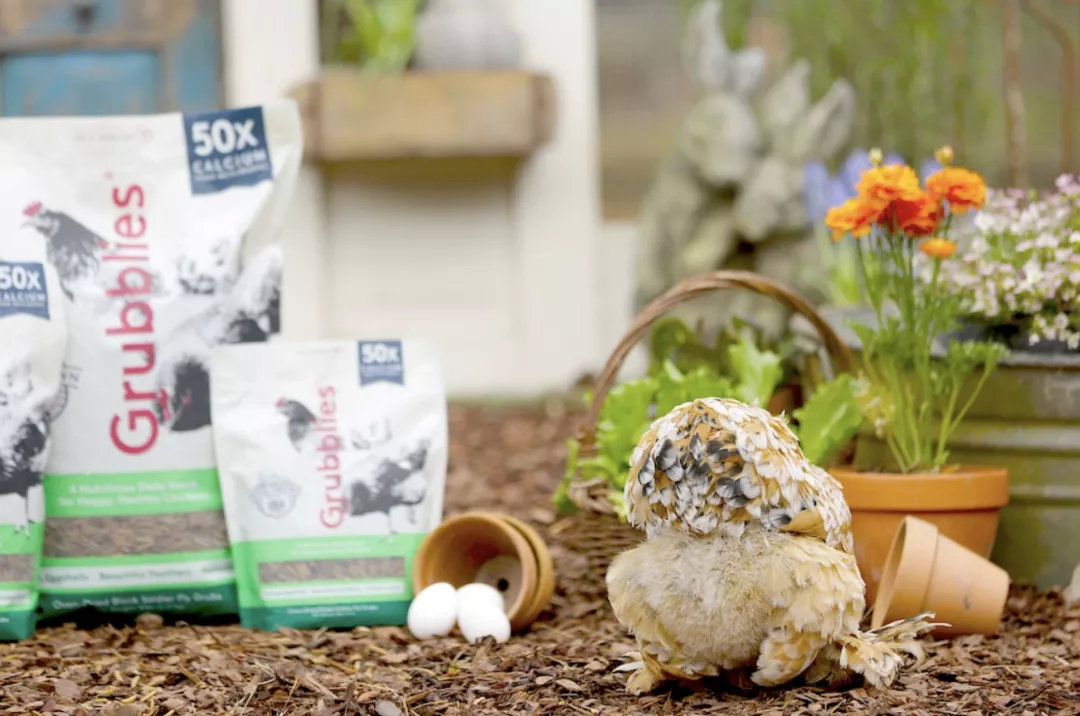 昆虫蛋白食品,昆虫蛋白医药