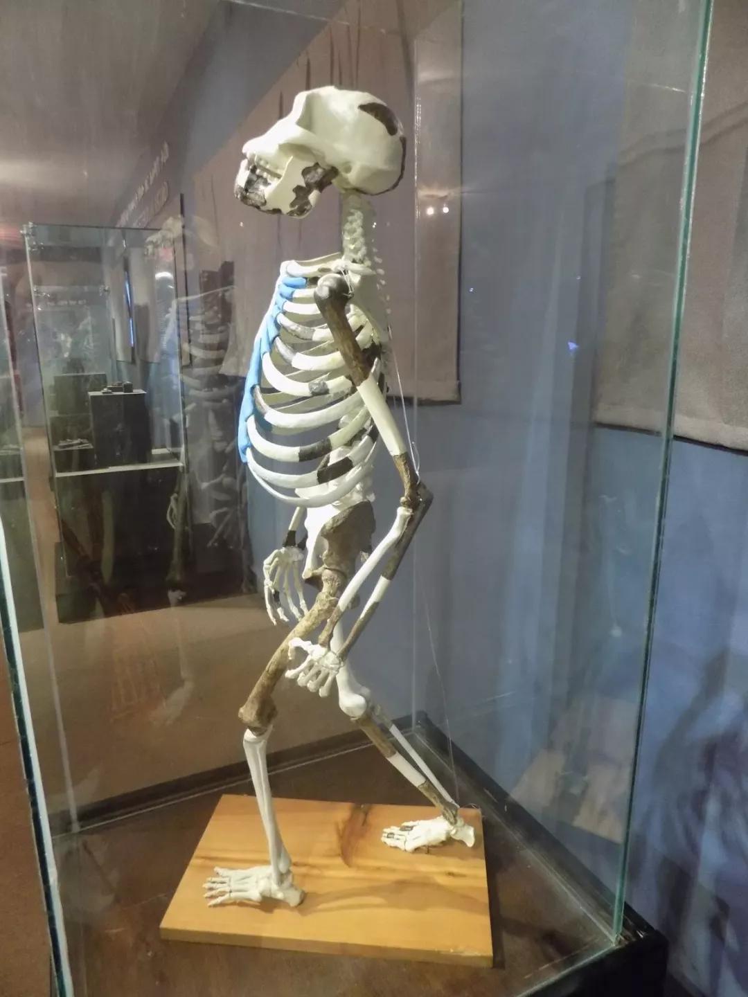 埃塞俄比亚首都亚的斯亚贝巴全景,走进埃塞俄比亚