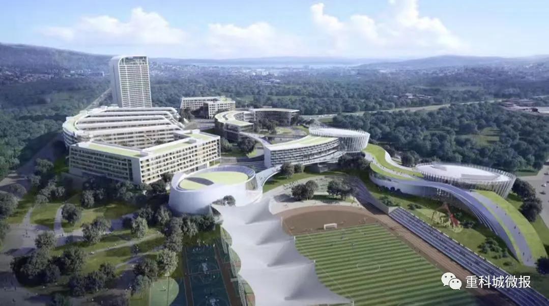 南开中学、南渝中学、树人小学、沙坪坝小学……这些名校扎堆了