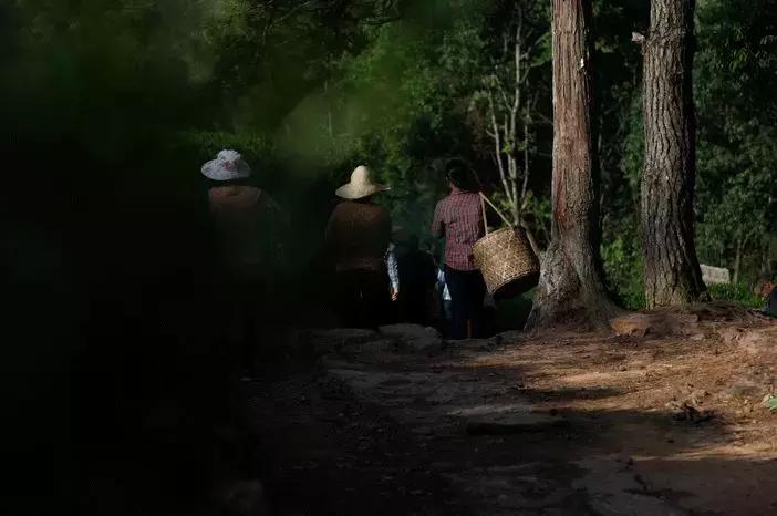 武夷山风景区民宿推荐价格表,武夷山山里民宿