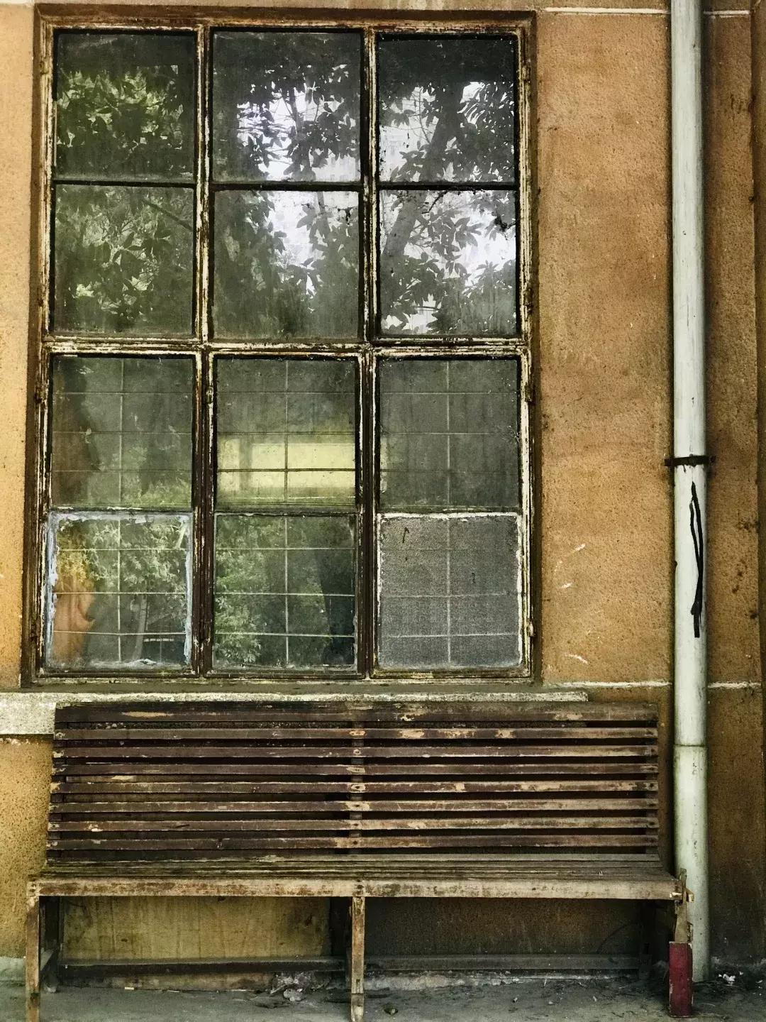 每个郫筒二小毕业的，都是在石牛公园耍大的